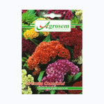 Seminte Flori CREASTA COCOŞULUI, AGROSEM – 0.8 GR