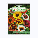 Seminte Flori CRIZANTEME MIX, AGROSEM - 1 GR