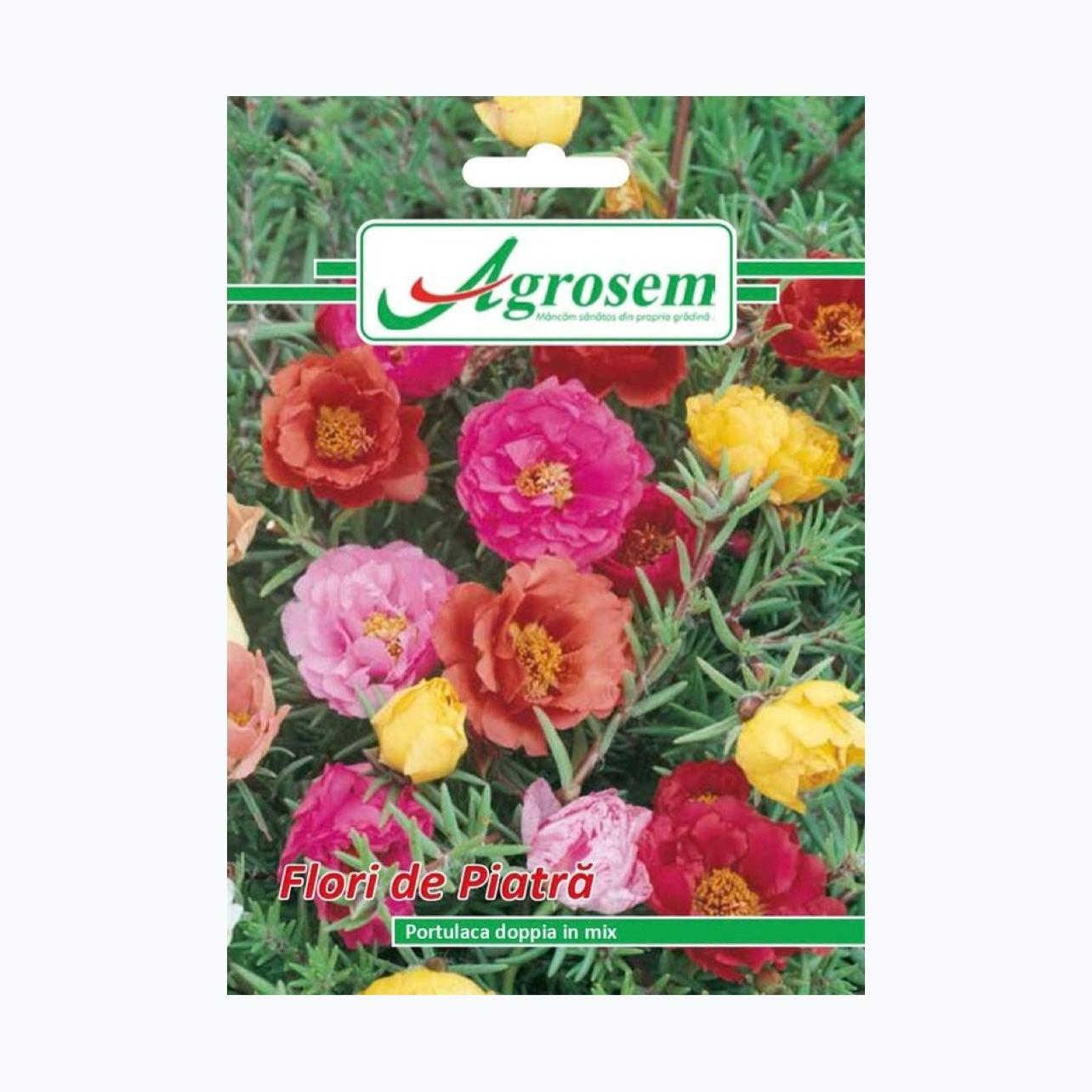 Seminte FLORI DE PIATRĂ, AGROSEM – 0.3 GR