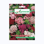 Seminte Flori GAROFIŢE DE GRĂDINĂ MIX, AGROSEM – 0.3 GR