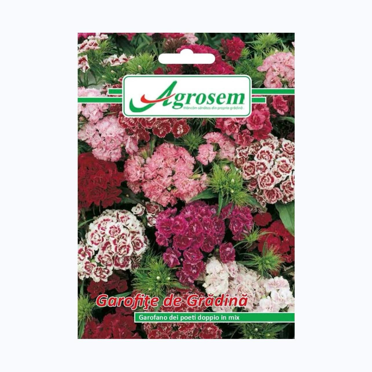 Seminte Flori GAROFIŢE DE GRĂDINĂ MIX, AGROSEM – 0.3 GR
