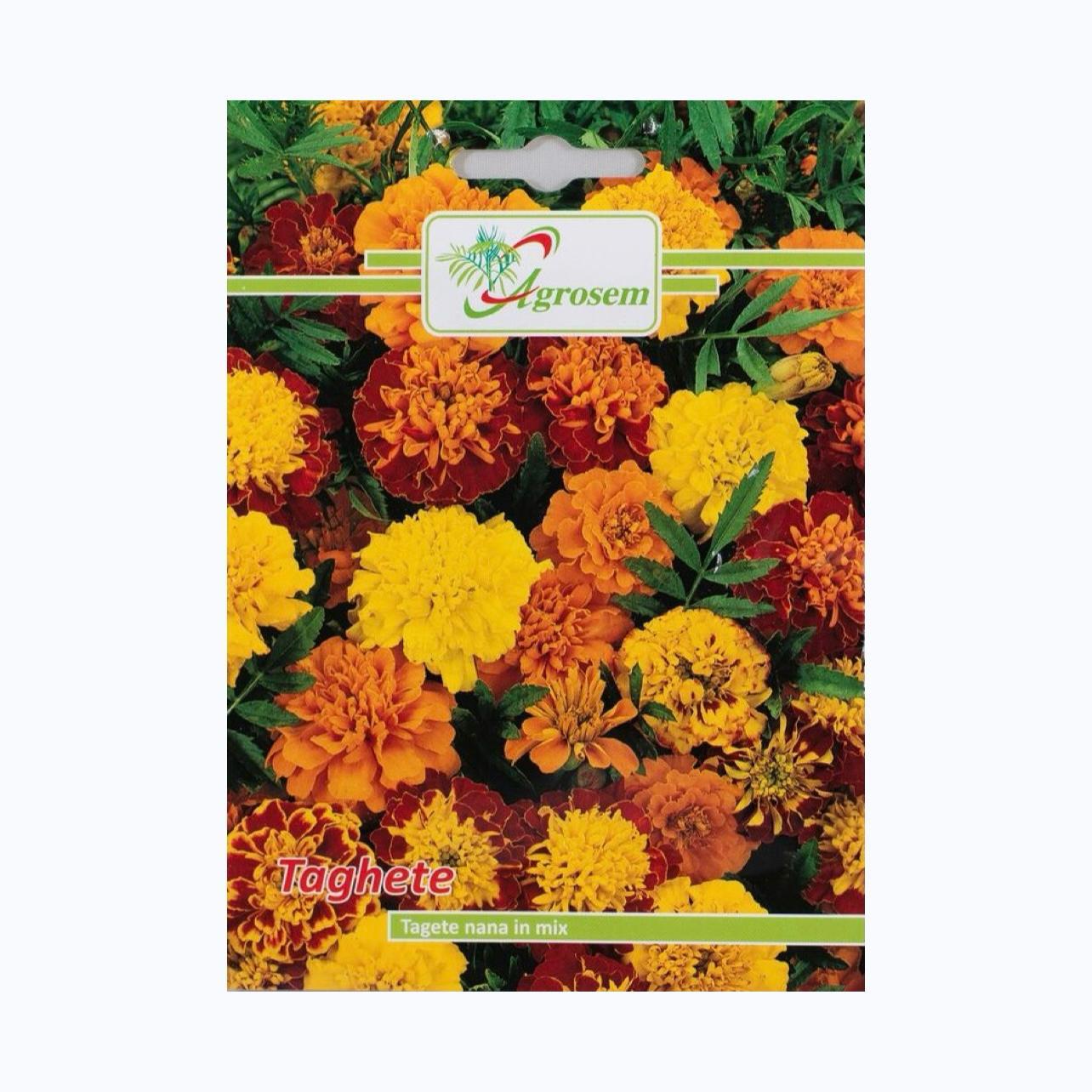 Seminte Flori TAGHETE NANA MIX , AGROSEM - 1 GR