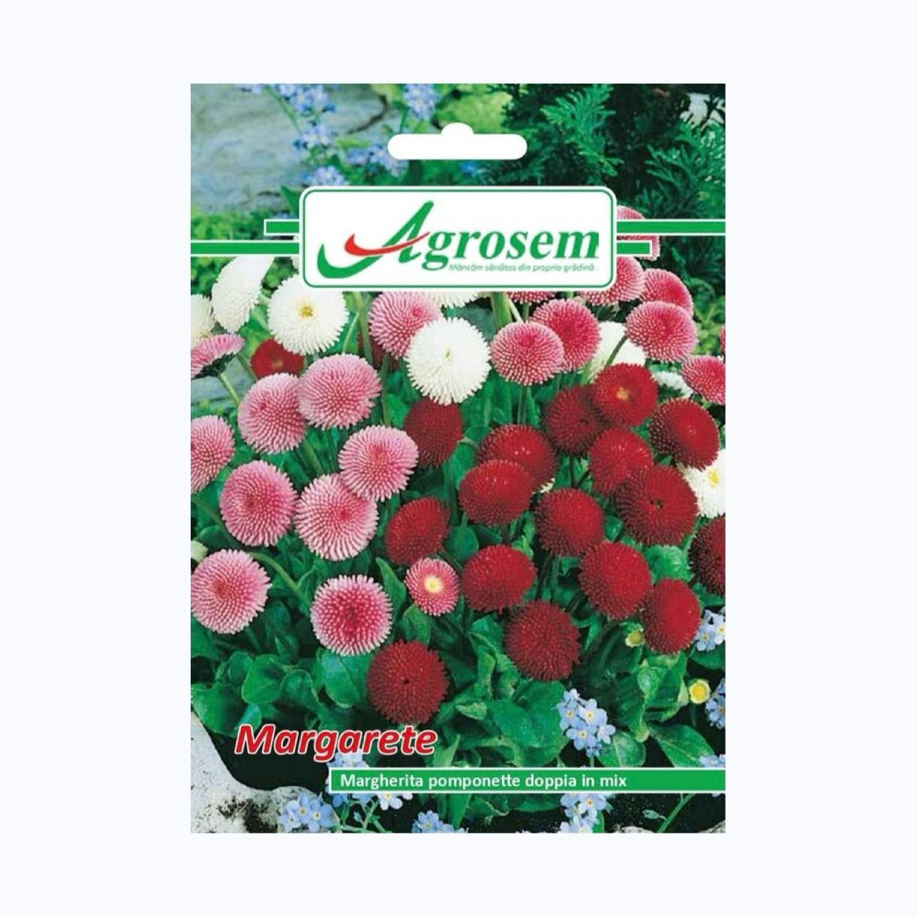 Seminte Flori MARGARETE, AGROSEM – 0.1 GR