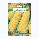 Seminte Porumb Dulce GOLDEN BANTAM, AGROSEM - 10 GR