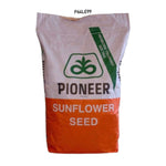 Seminte Floarea Soarelui P64LE99, Pioneer, EXPRESS – Sac 150.000 seminte. HIBRID TARDIV, TEHNOLOGIE: EXPRESS, Pioneer Protector, TRATAMENT: FUNGICID Lumisena LumiGEN