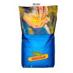 DKC 4611, FAO 350 - 390, Samanta Porumb Dekalb (sac 80.000 boabe)