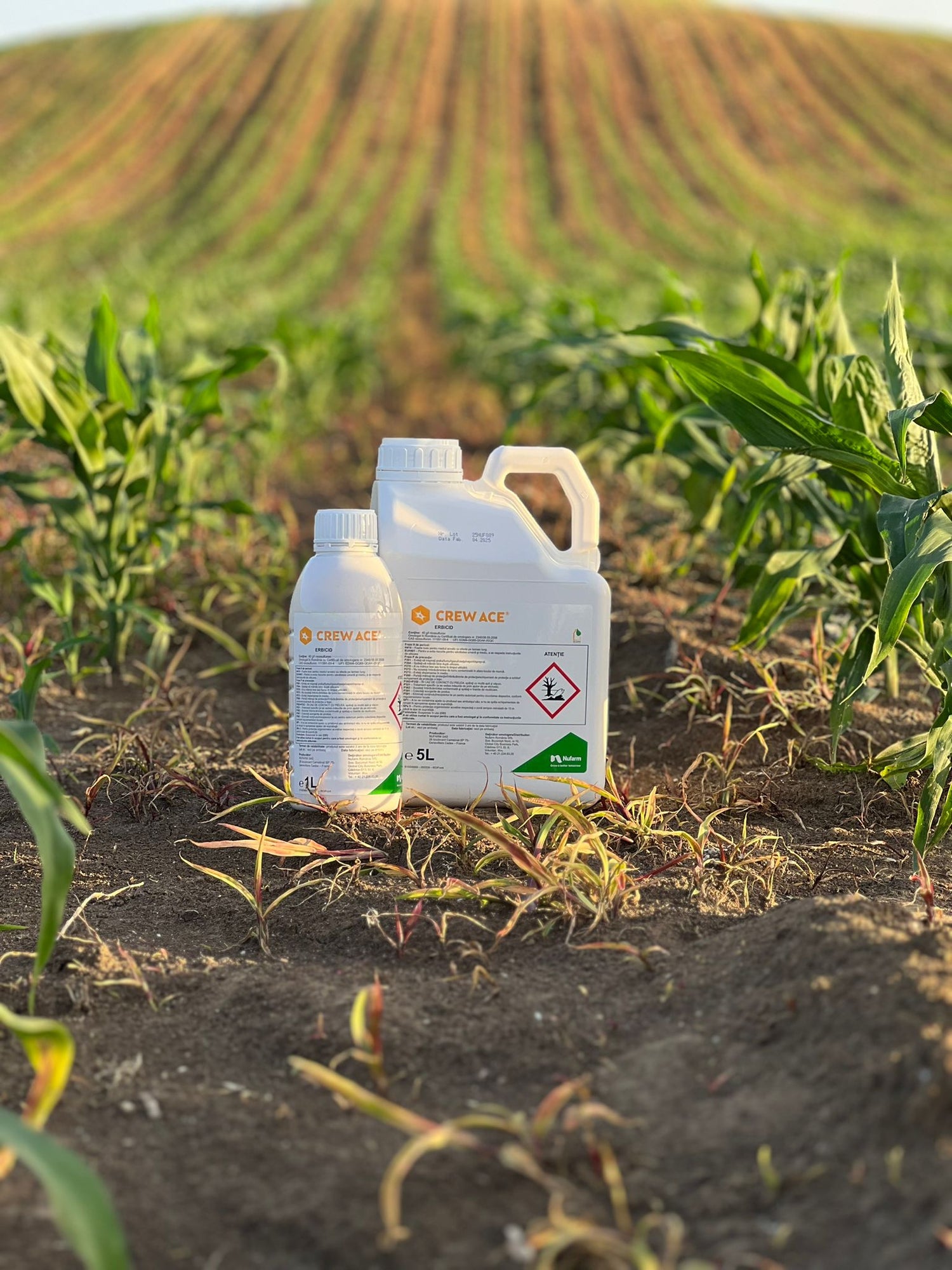 Erbicid CREW ACE – 1 L, NUFARM, Postemergent, Monocotiledonate, Porumb.