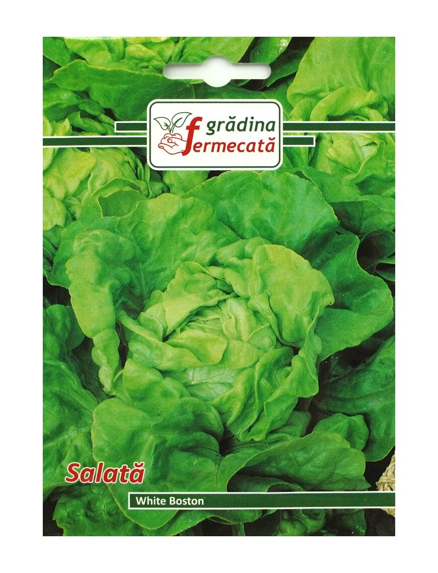 Seminte Salata S. ANNA, GRADINA FERMECATA - 2 GR