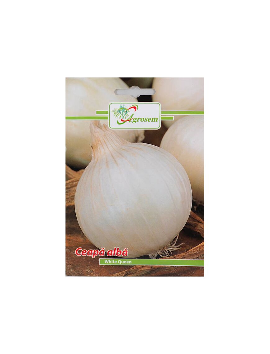 Seminte Ceapa Alba WHITE QUEEN, AGROSEM - 1.5 GR