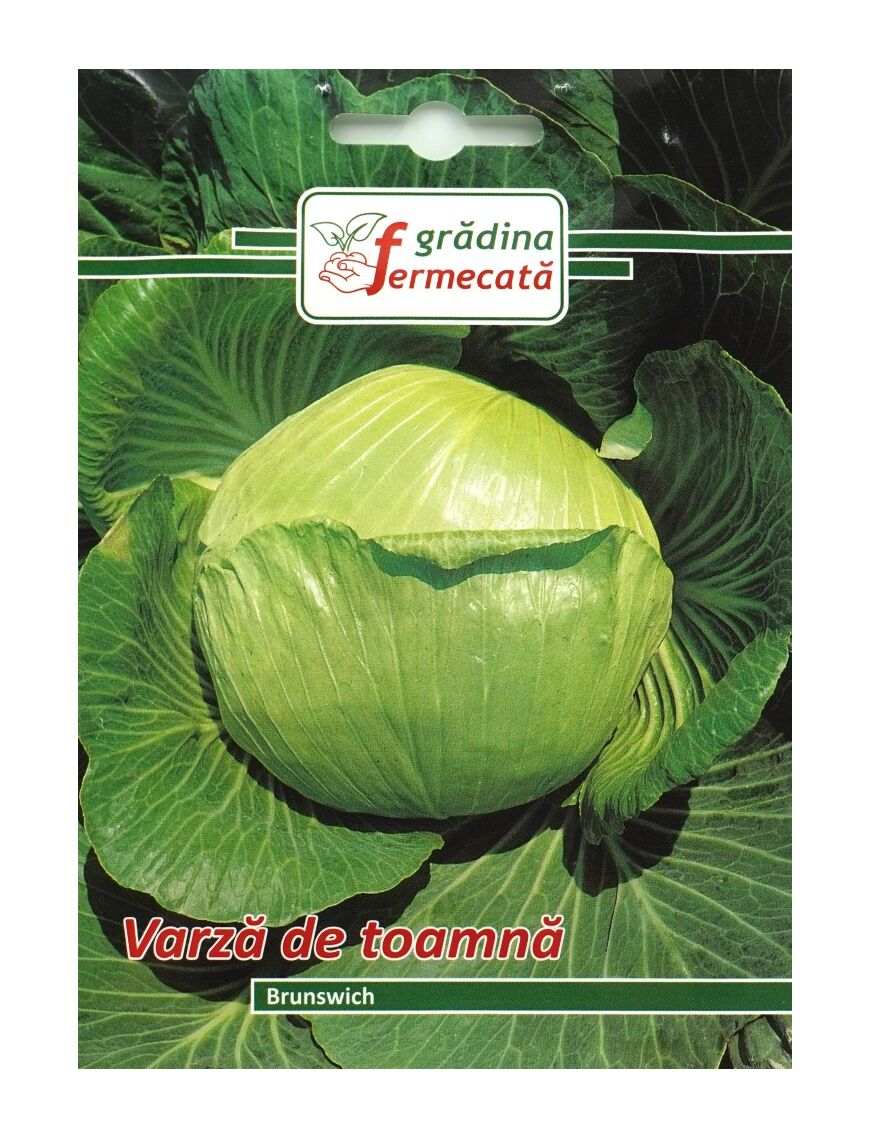 Seminte Varza de Toamna BRUNSWICK, GRADINA FERMECATA - 3 GR