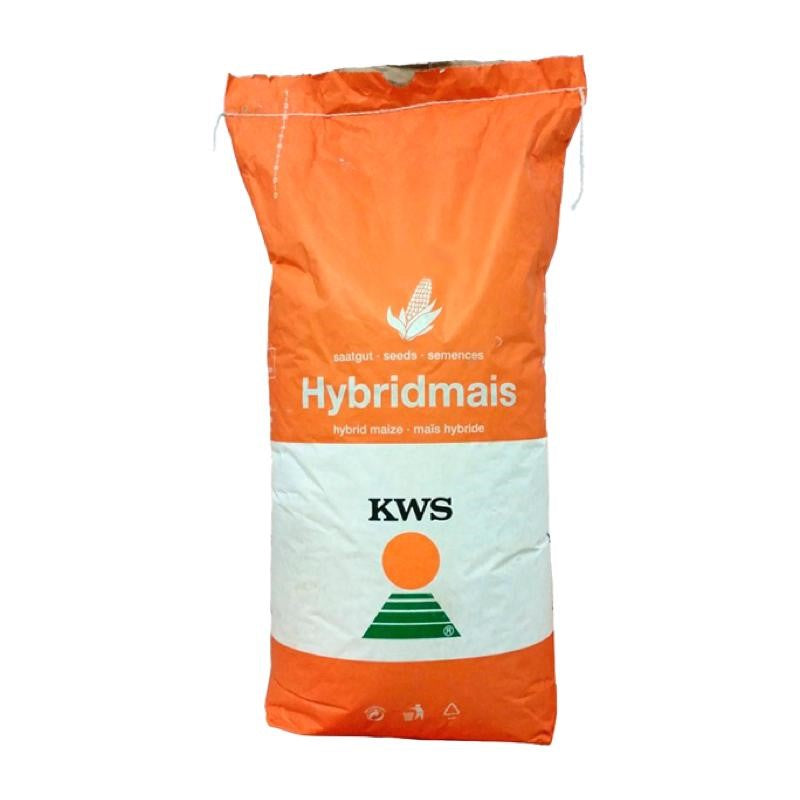 KWS KASHMIR, FAO 370, Plus4Grain, Samanta porumb (sac 25.000 boabe)