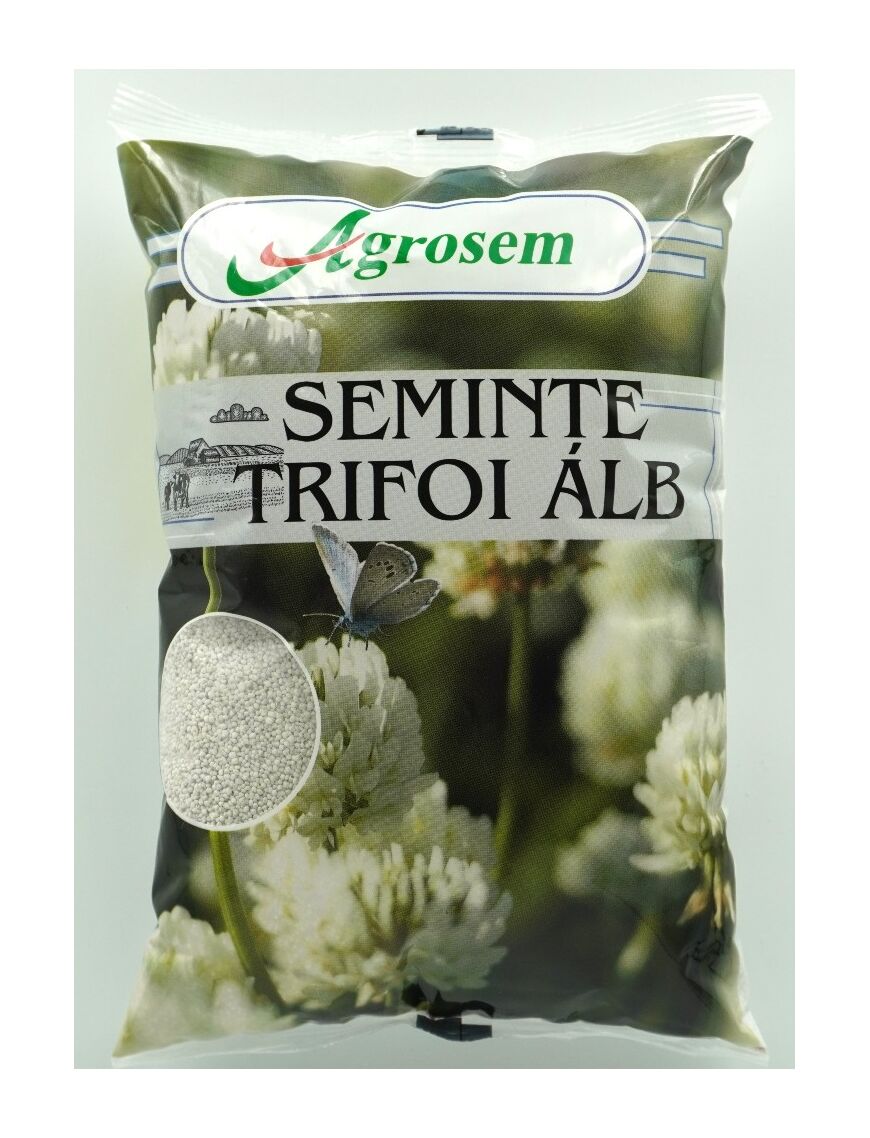 Semințe Trifoi Alb Drajat - 1 KG | Furaje Verzi și Pajiști Rezistente