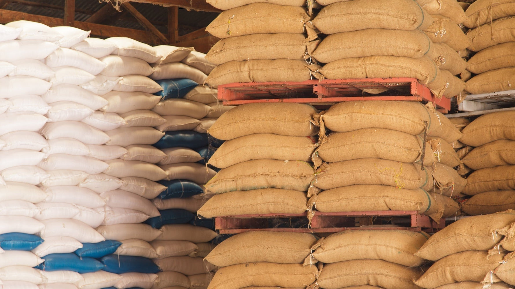 Cum comanzi en-gros la Depozitul Grădinarului (ghid rapid) | pași pentru cont B2B, documente, termene plată, livrare, suport dedicat | formular partener, cataloage PDF, contact vânzări