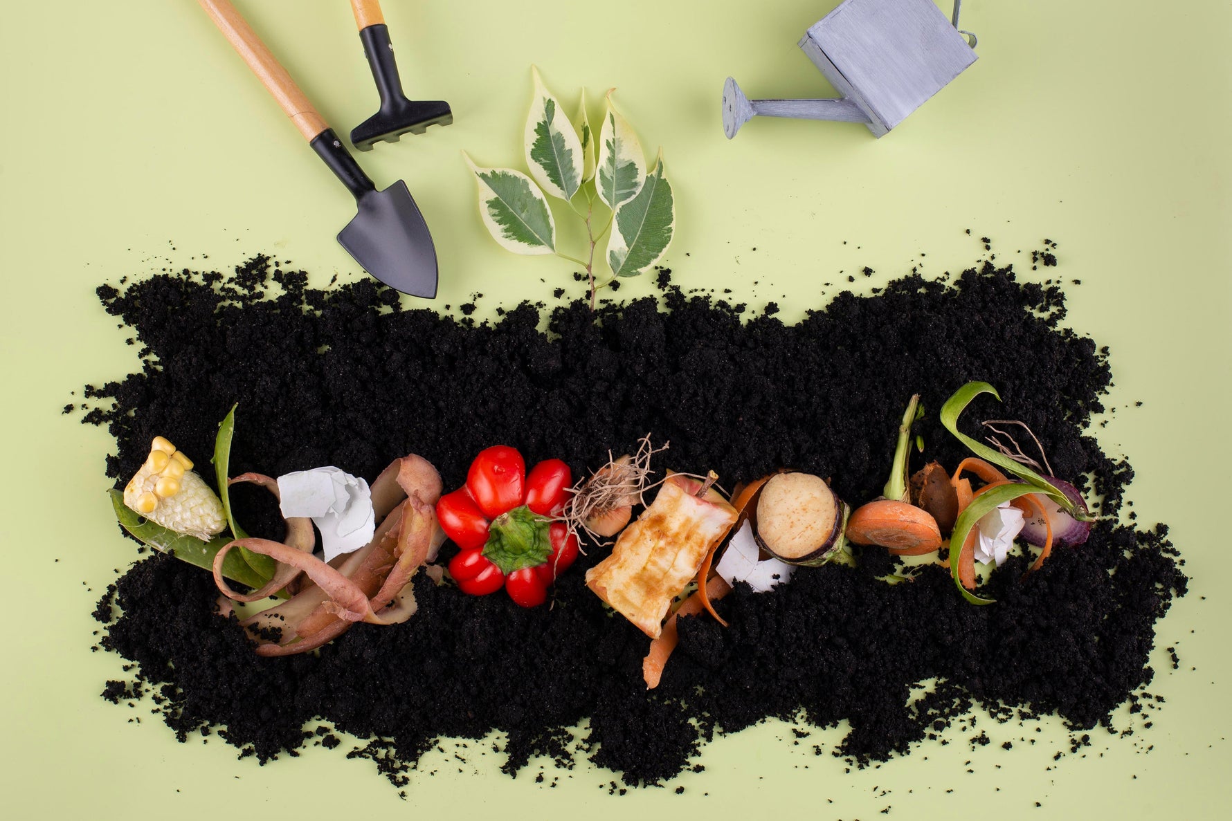 Îngrășăminte bio și fertilizanți organici: hrănește-ți culturile în mod sustenabil