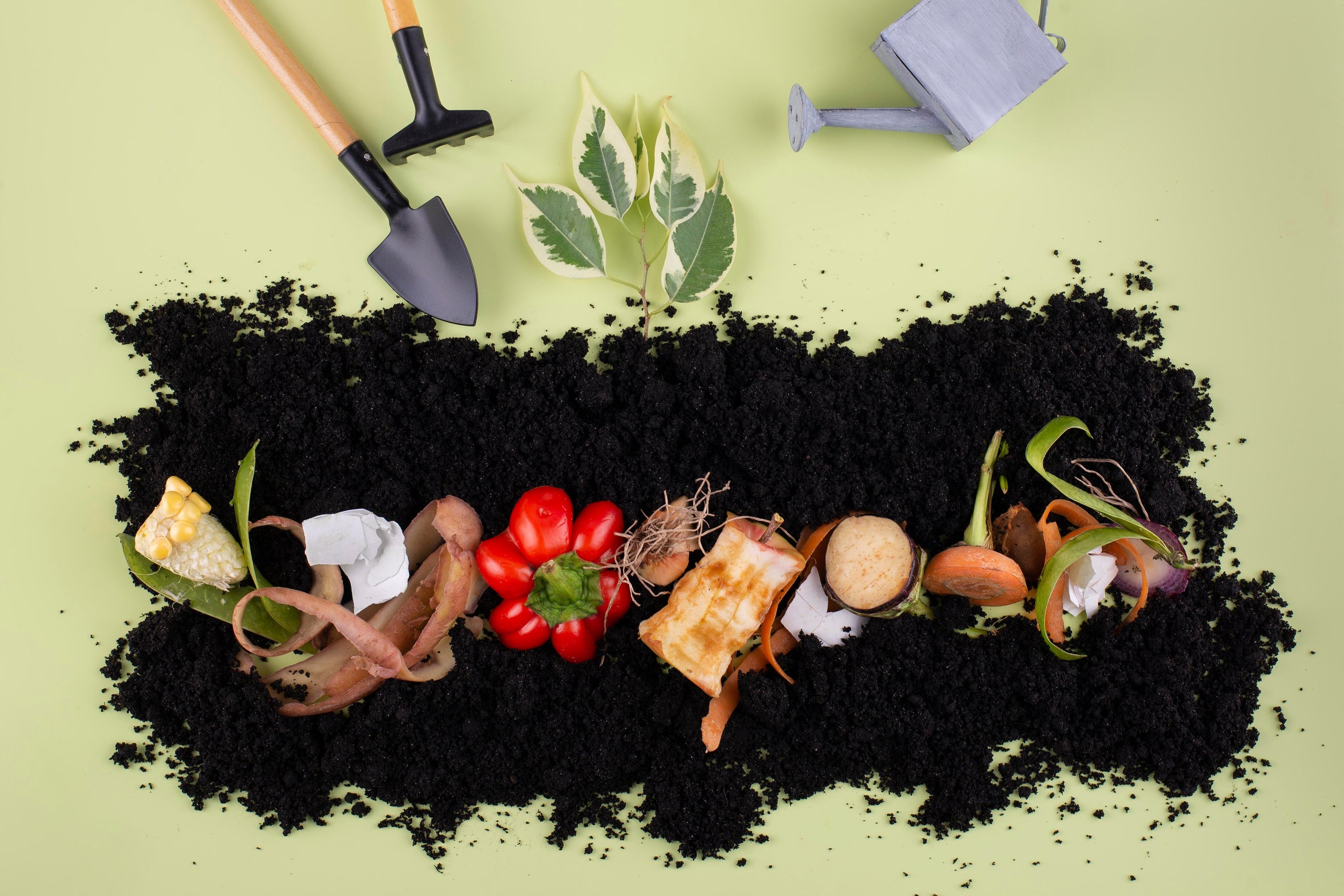 Îngrășăminte bio și fertilizanți organici: hrănește-ți culturile în mod sustenabil