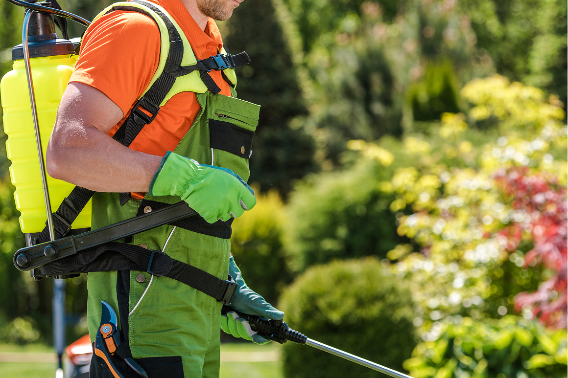 Îngrășământul Foliar Cropmax: Stimularea Creșterii și Dezvoltării Plantelor