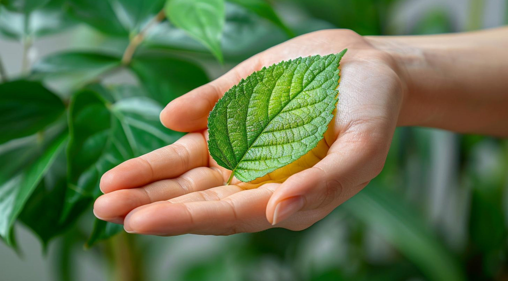 Protecție responsabilă culturi: ghid pesticide naturale și chimice Depozitul Grădinarului