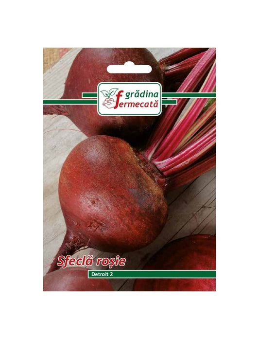 Seminte Sfecla Rosie DETROIT 2, GRADINA FERMECATA - 3 GR