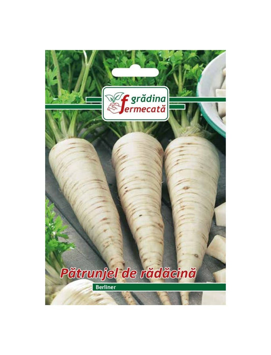 Seminte Patrunjel Radacina BERLINER , GRADINA FERMECATA - 3 GR