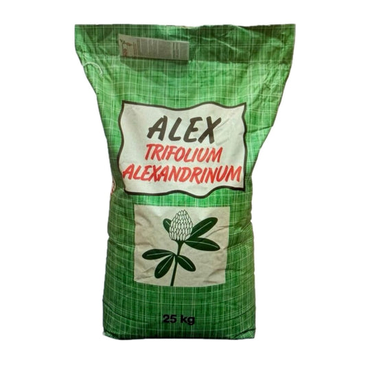 Seminte TRIFOI DE ALEXANDRIA - Sac 25 KG, Seminte Furajere, Furaj Nutritiv, Bogat in Proteine