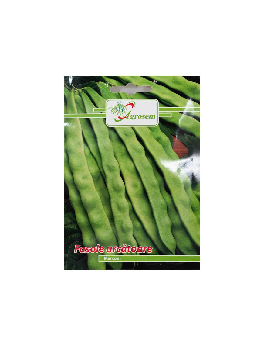 Seminte Fasole Urcatoare MARCONI, AGROSEM - 10 GR, Păstăi Lungi si Verzi