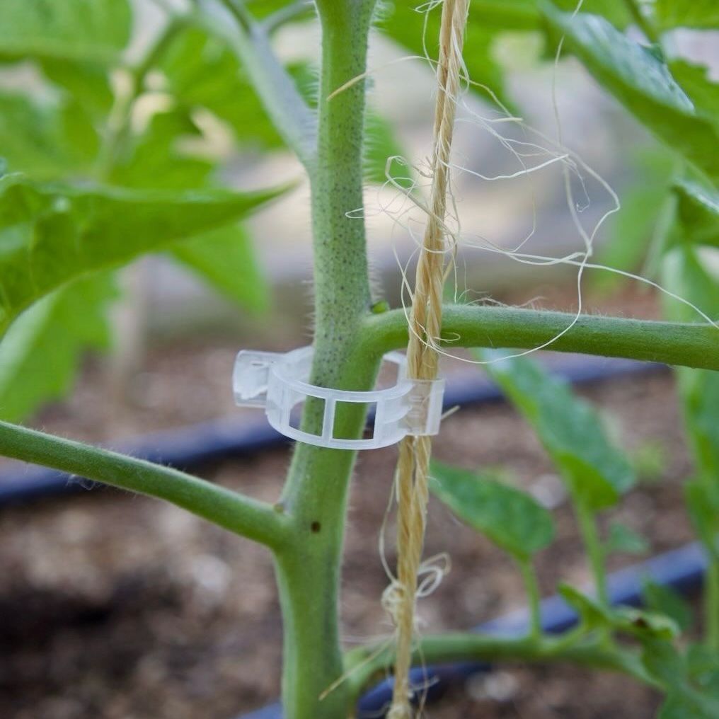 Clips de palisare legume, 23 MM - Tomate, Ardei, Castraveti