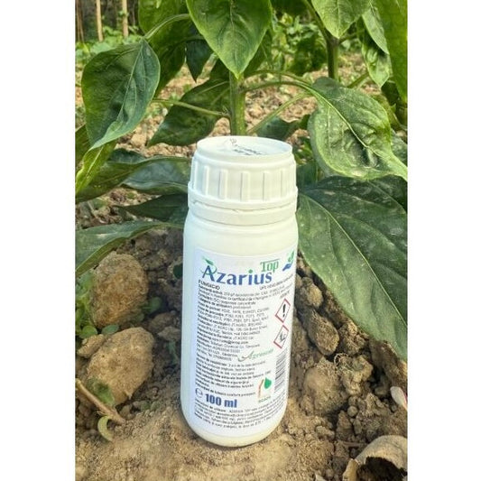 Fungicid AZARIUS TOP - 100 ML, Sistemic, Azoxistrobin, Legume, Plante ornamentale, Pomi, Cereale, Boli: Fainare, Mana, Alternarioza, Fuzarioza, Putregaiul alb/ cenusiu, Rugina, Patarea cafenie.