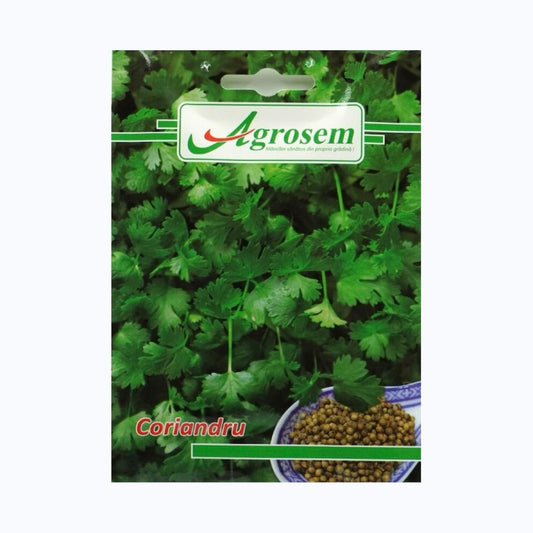 Seminte Coriandru, AGROSEM – 5 GR, Plantă Aromatică Anuală, Frunze și Semințe Parfumate