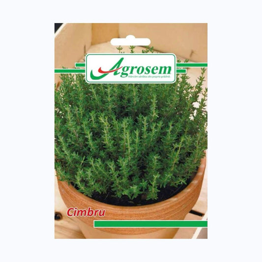 Seminte Cimbru, AGROSEM – 0.4 GR, Plantă Aromatică Perenă, Frunze și Flori Parfumate
