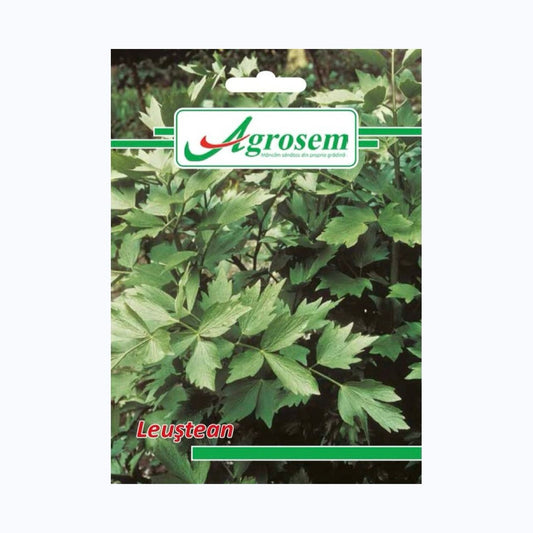 Seminte Leustean, AGROSEM – 0.6 GR, Plantă Aromatică Perenă, Aromă Intensă