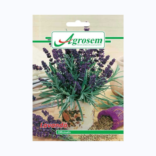 Seminte Lavanda OFFICINALIS, AGROSEM – 0.3 GR, Plantă perenă aromatică și decorativă cu flori mov-albăstrui