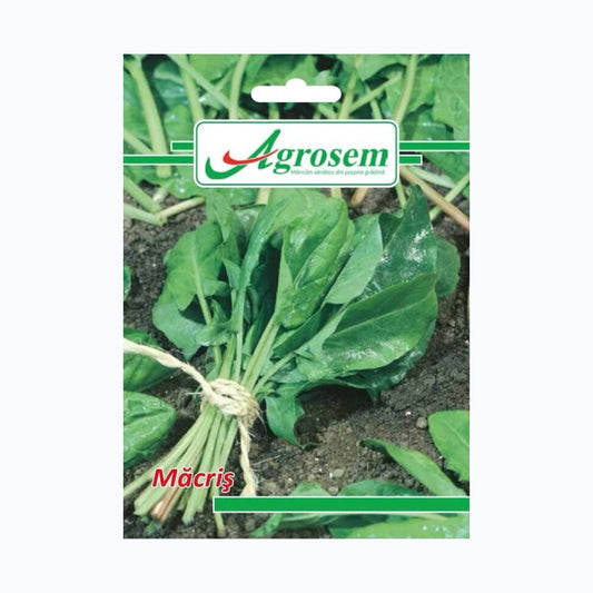 Seminte Macris, AGROSEM – 1.5 GR, Plantă Perenă cu Gust Acrișor