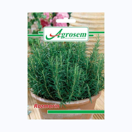 Seminte Rozmarin, AGROSEM – 0.05 GR, Plantă Aromatică Perenă