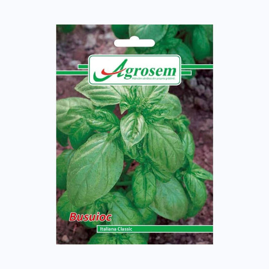 Seminte Busuioc, AGROSEM - 3 GR, Plantă Aromatică Anuală, Frunze Mari și Aromate