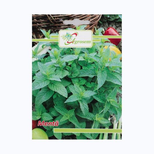 Seminte Menta, AGROSEM – 0.1 GR, Plantă Aromatică Perenă, Aromă Intensă