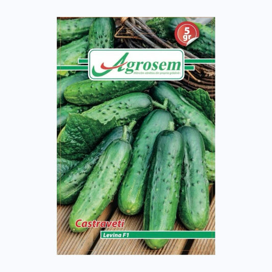 Seminte Castraveti LEVINA F1 – 5 GR (Hibrid), Furia Seed