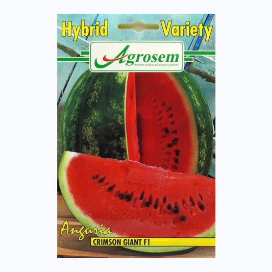 Seminte Pepene Verde CRIMSON GIANT F1 (Hibrid), Furia Seed