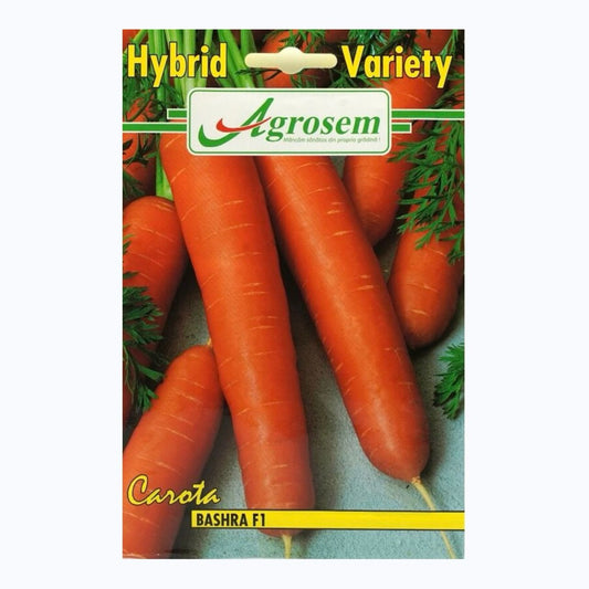 Seminte Morcov BASHRA F1 (Hibrid), Furia Seed