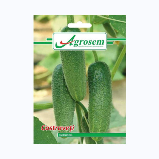 Seminte Castraveti DELIKATESS, AGROSEM – 3 GR