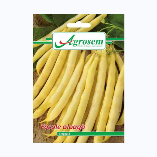 Seminte Fasole Oloaga BERGGOLD, AGROSEM – 15 GR