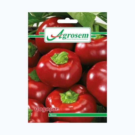 Seminte Gogosar ROSSO, AGROSEM - 0.6 GR, Fructe Mari, Roșu Intens