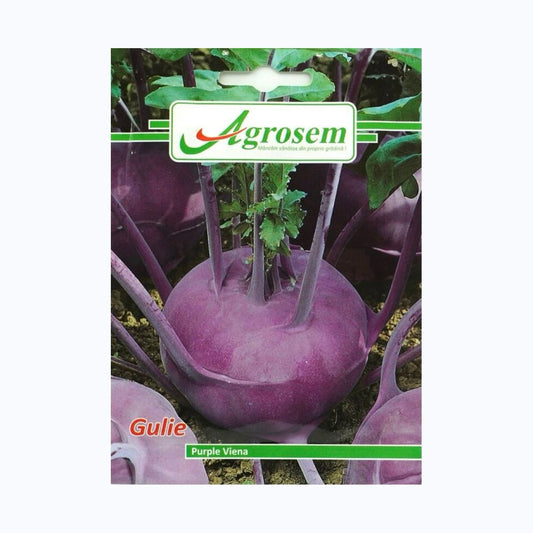 Seminte Gulie PURPLE VIENA, AGROSEM – 5 GR, Gulie Timpurie, Violet & Frageda