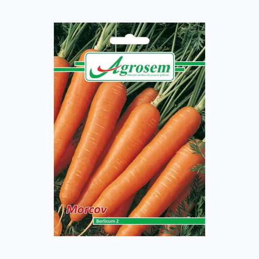 Seminte Morcov BERLICUM 2, AGROSEM – 5 GR, Rădăcini Cilindrice, Dulci și Portocalii
