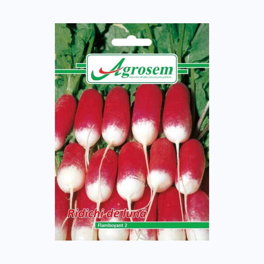Seminte Ridichi de Luna FLAMBOYANT 2, AGROSEM - 6 GR, Radacina Frageda si Crocanta