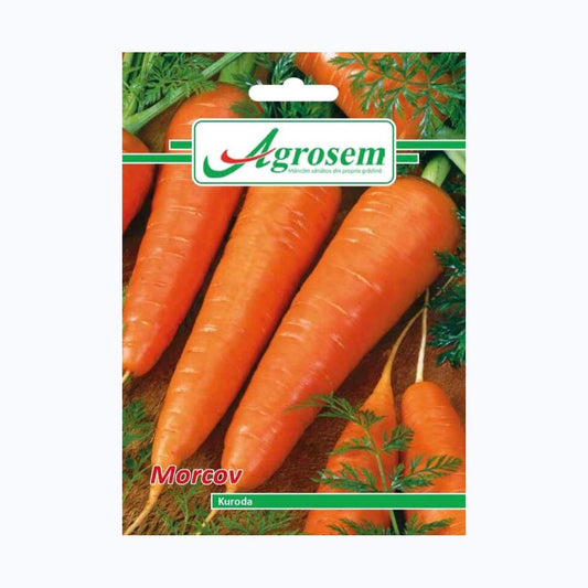 Seminte Morcov KURODA, AGROSEM – 5 GR, Rădăcini Groase, Dulci și Crocante