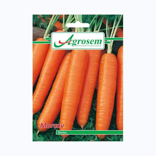 Seminte Morcov NANTES, AGROSEM - 5 GR, Rădăcini Dulci & Uniforme