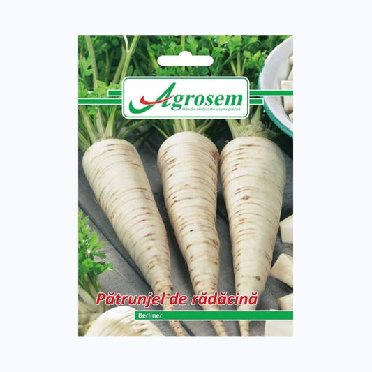 Seminte Patrunjel de radacina BERLINER, AGROSEM - 5 GR