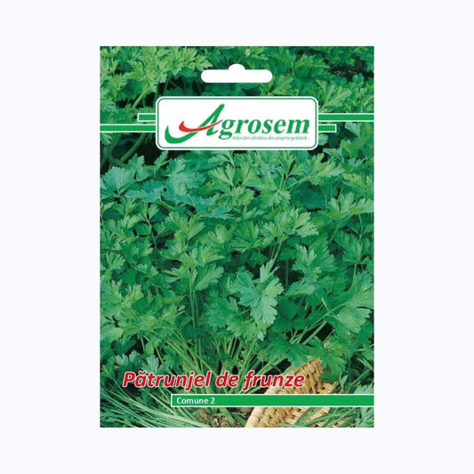 Seminte Patrunjel Frunze COMUNE 2, AGROSEM - 5 GR, Aromat & Productiv