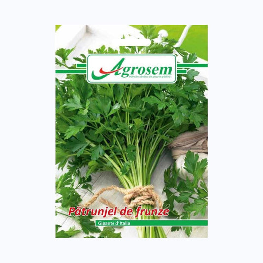 Seminte Patrunjel Frunze GIGANTE DE ITALIA, AGROSEM – 5 GR, Soi Timpuriu, Frunze Mari & Late
