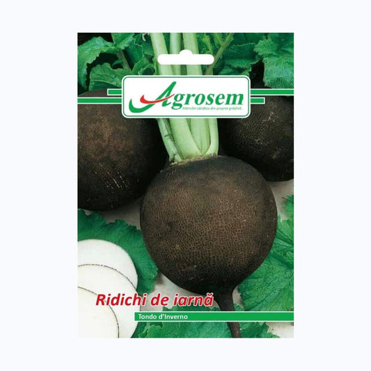 Seminte Ridichi de Iarna NERO TONDO DINVERNO, AGROSEM - 6 GR, Soi de Iarna, Ridichi Negre, Pulpa Alba, Gust Usor Picant